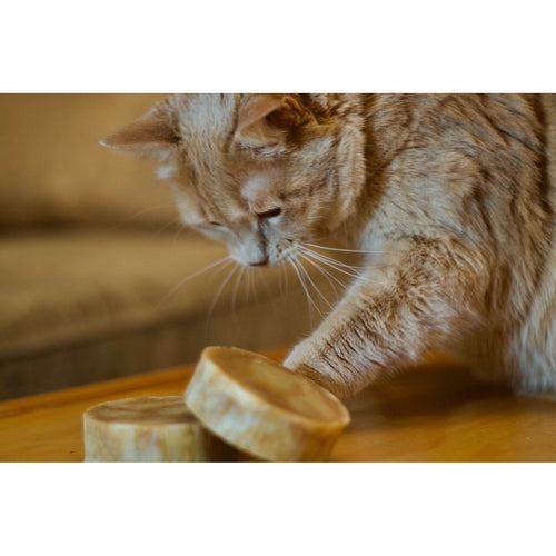 Purrfect Patchouli Soap